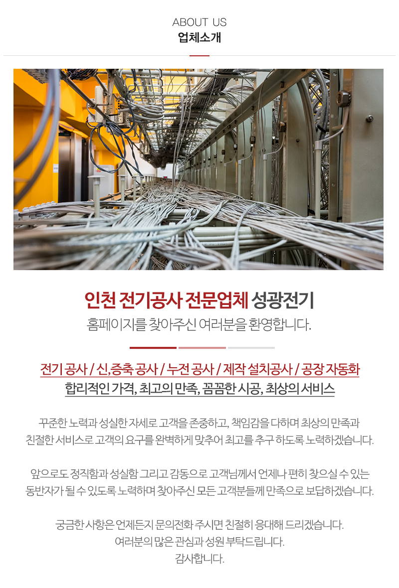 성광전기_내용